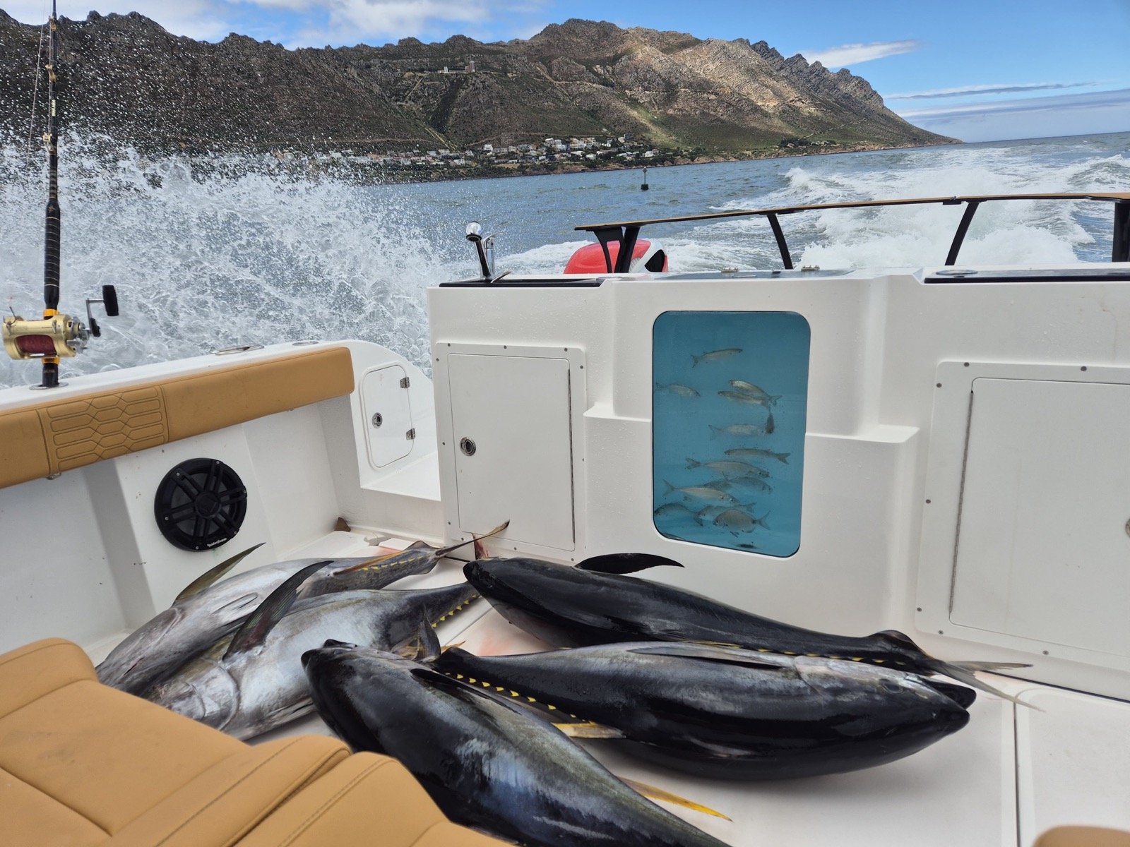 Invicta 30 OC Feature Detail 3